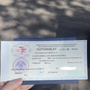 Сертификат о прохождении ЦТ