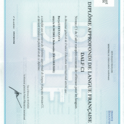 Сертификат DALF C1