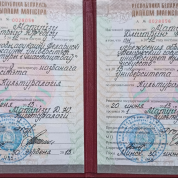 Диплом магистра культурологии