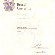 Brunel University