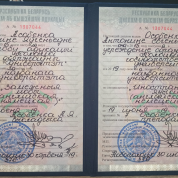 Полоцкий государственный университет имени Евфросинии Полоцкой